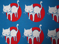 kittykitty-neulos